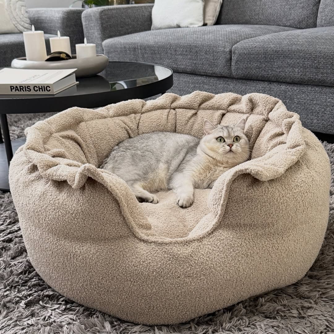 Kat Moana in haar Tabby-mand van Petty's