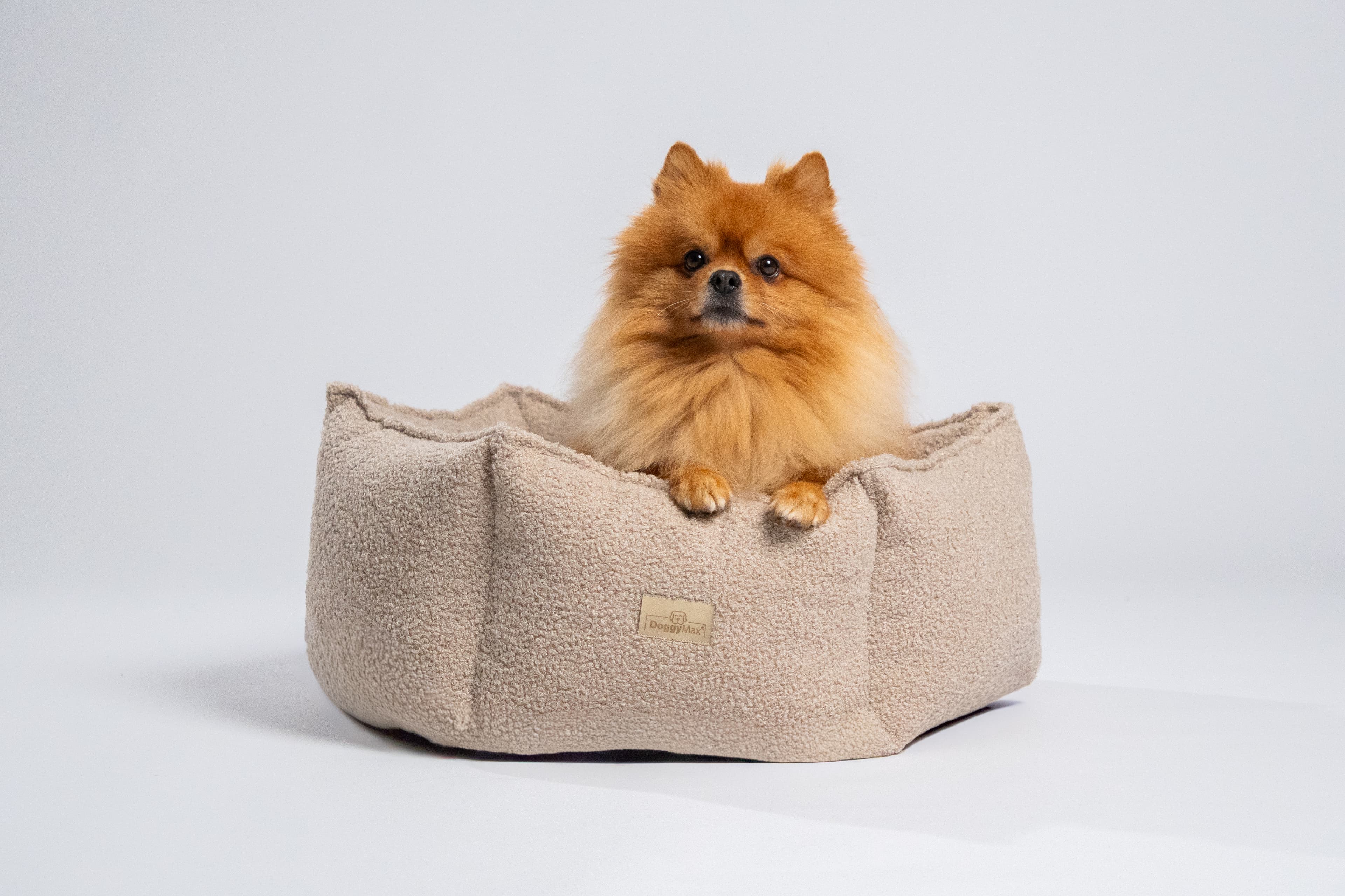 Een gelukkige golden retriever in een warme, gezellige omgeving